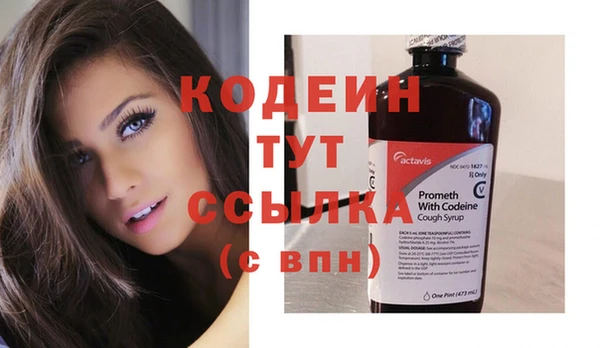 шишки Абаза