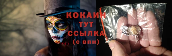 шишки Абаза