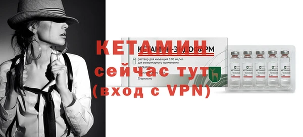 шишки Абаза
