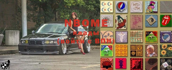 шишки Абаза