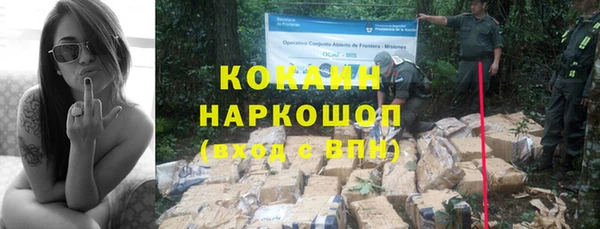 шишки Абаза