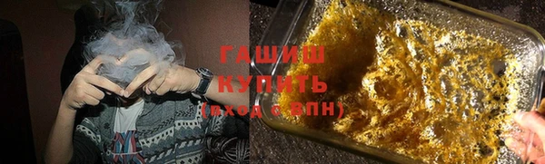 шишки Абаза