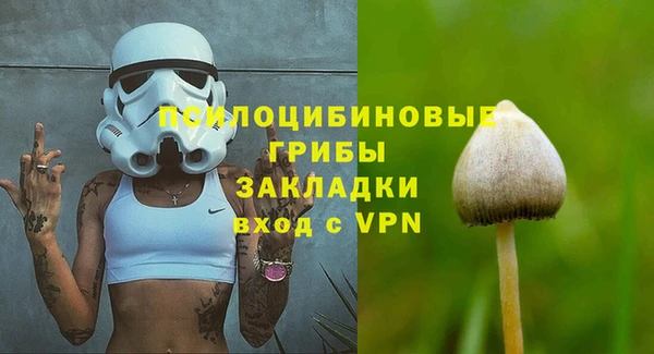 ПСИЛОЦИБИНОВЫЕ ГРИБЫ Абинск