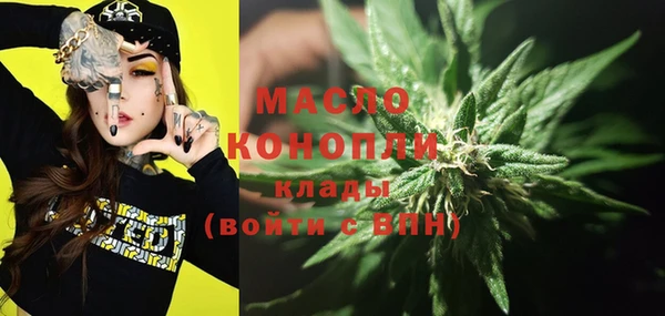 шишки Абаза