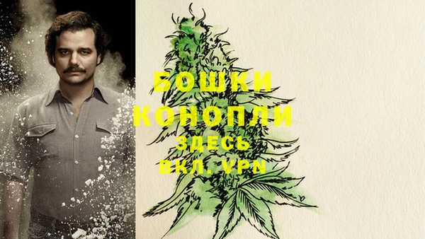 шишки Абаза