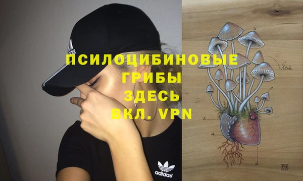 кокс Абдулино
