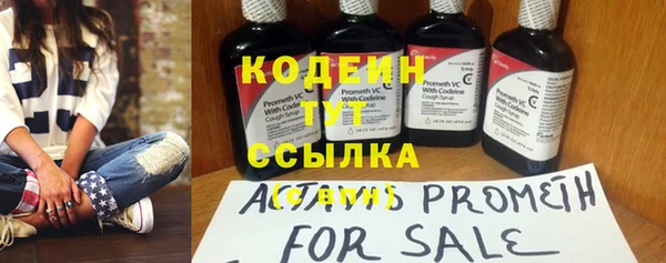 шишки Абаза