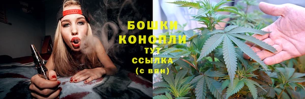 ПСИЛОЦИБИНОВЫЕ ГРИБЫ Абинск