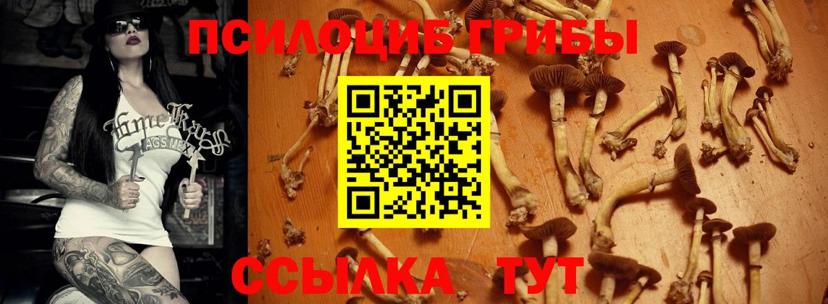 Псилоцибиновые грибы ЛСД Сызрань