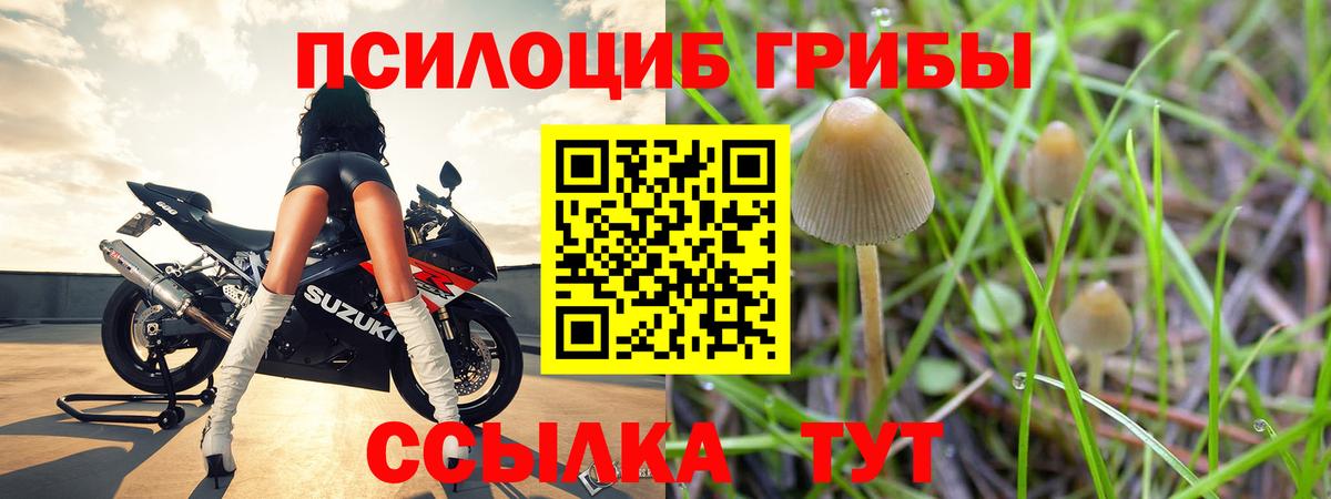 Псилоцибиновые грибы GOLDEN TEACHER  Вход с VPN  Сызрань 